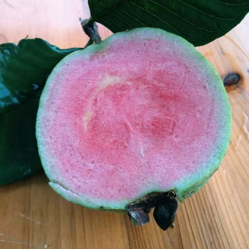 专业荔枝西瓜番石榴市场电商果工厂果