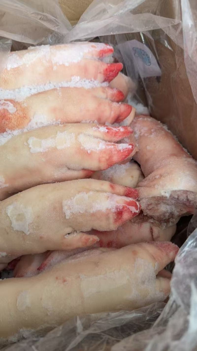 大量现货批发猪蹄，全国发货，保证质量