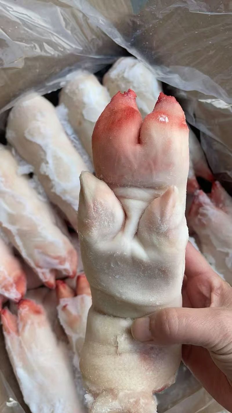 大量现货批发猪蹄，全国发货，保证质量