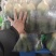 湖北沙洋水果萝卜大量有货，新鲜量大，规格齐全，全国发货