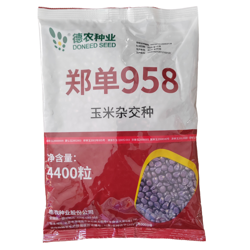 郑单958玉米种子国审玉米种子白轴大棒子玉米种北京德农总