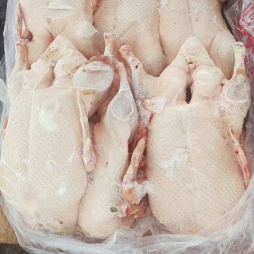 白条鸭