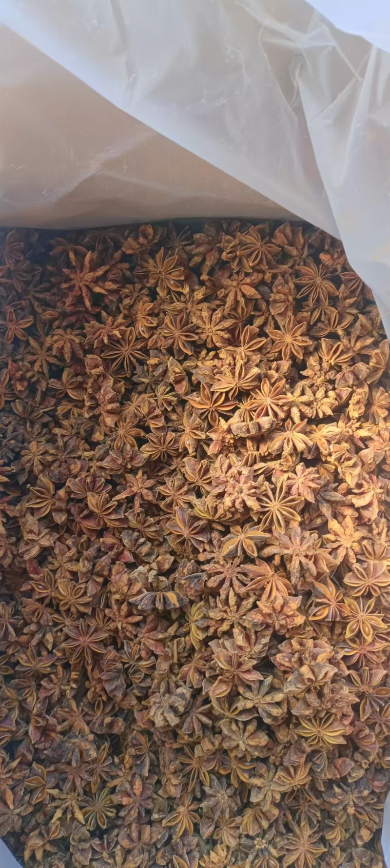 新货水烫无硫大红八角足干富宁八角百色大红八角带批次检
