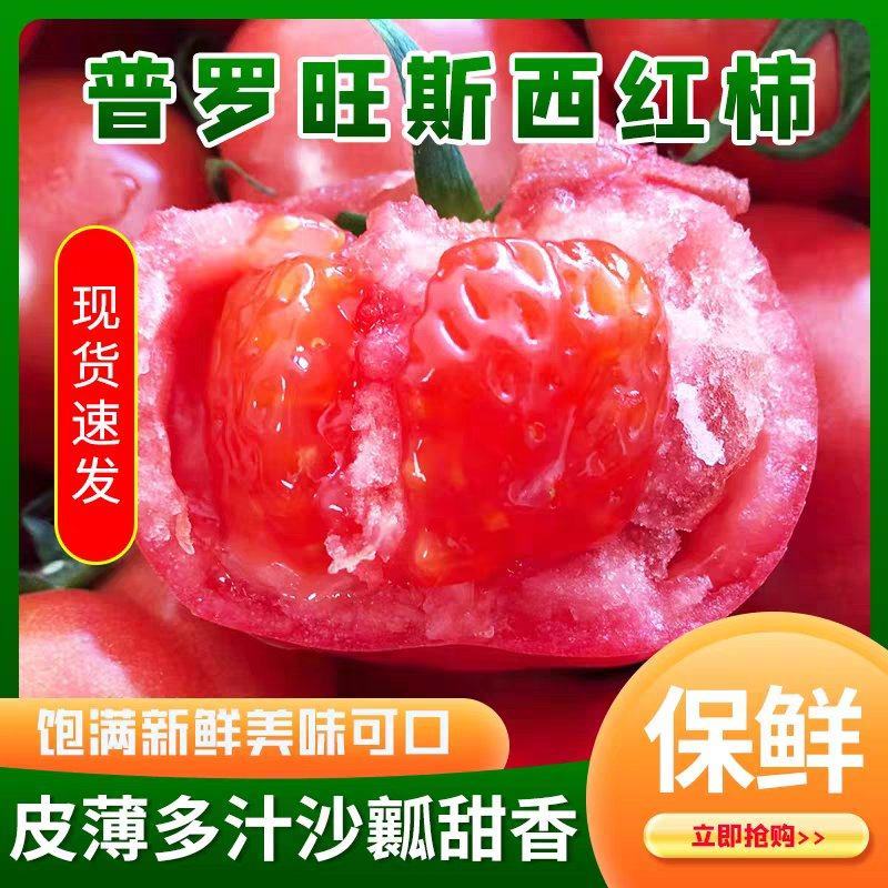 山东海阳普罗旺斯西红柿沙瓤番茄整车落地配市场供货