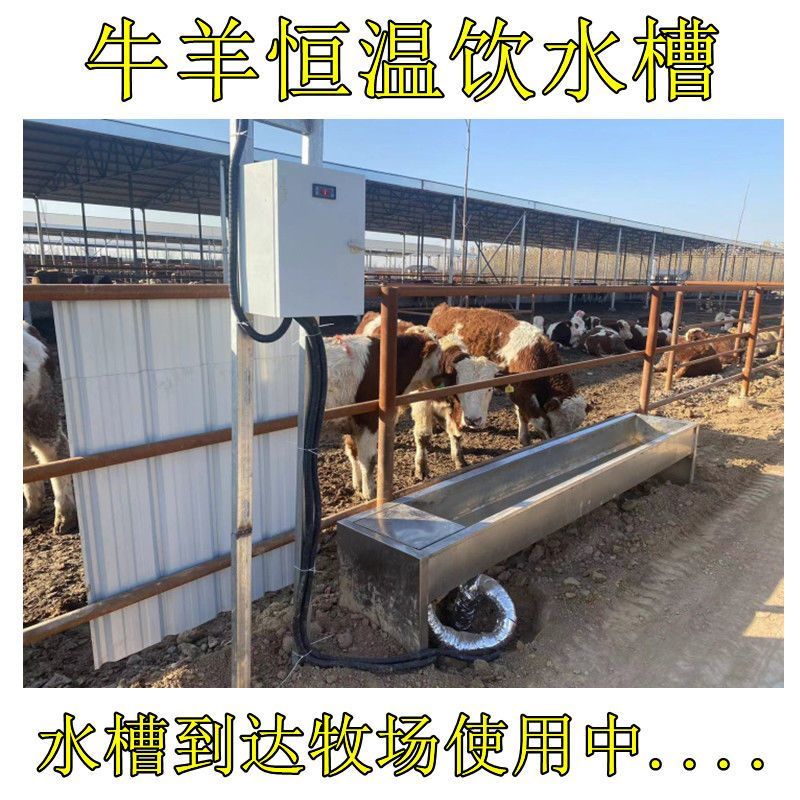 恒温饮水槽电加热不锈钢牛羊喝水槽冬季防冻食槽养殖场设备可