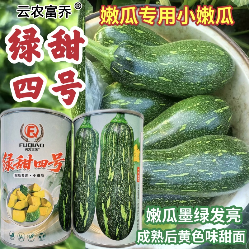 绿甜四号南瓜种子交墨绿发亮嫩南瓜种子有花斑长棒青瓜种子