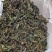 干香椿500g2026年农家自晒头茬嫩香椿叶湖北特产野生
