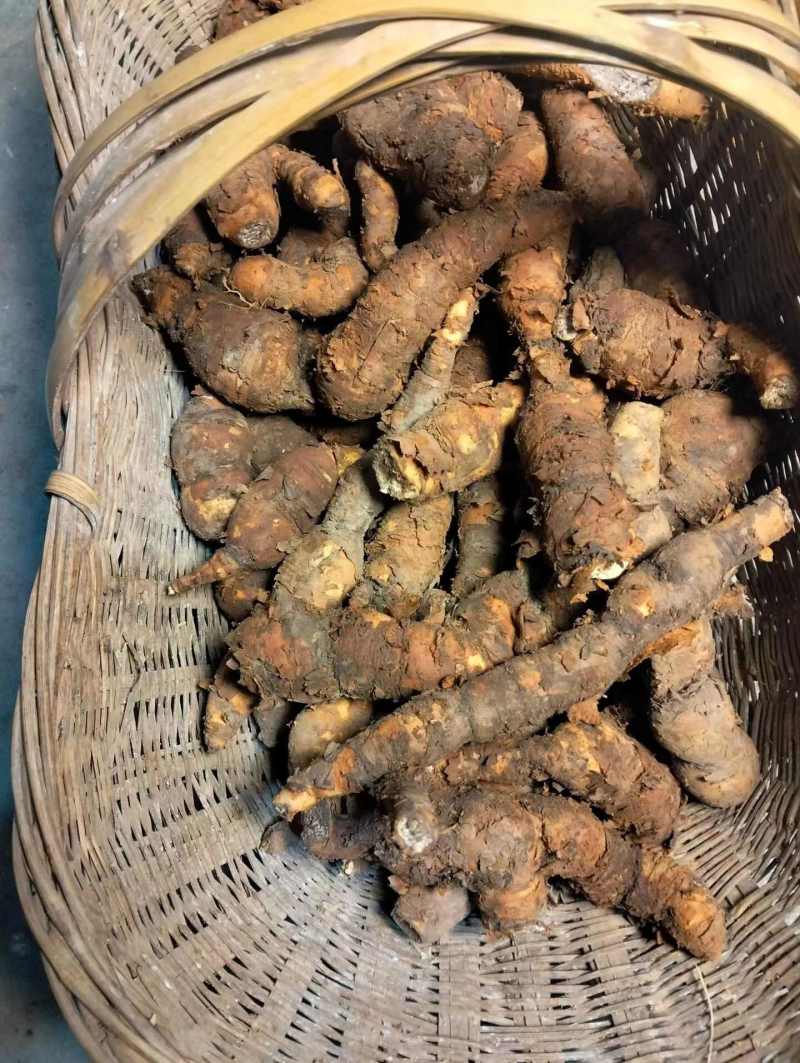 何首乌隔山消鲜白首乌湖北野山隔山撬隔山牛皮消滋补食材1斤