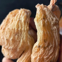正品精选整个天麻新货500g优质新鲜生天麻切大片干货乌天