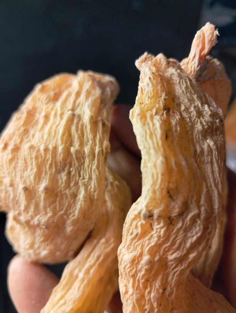 正品精选整个天麻新货500g优质新鲜生天麻切大片干货乌天