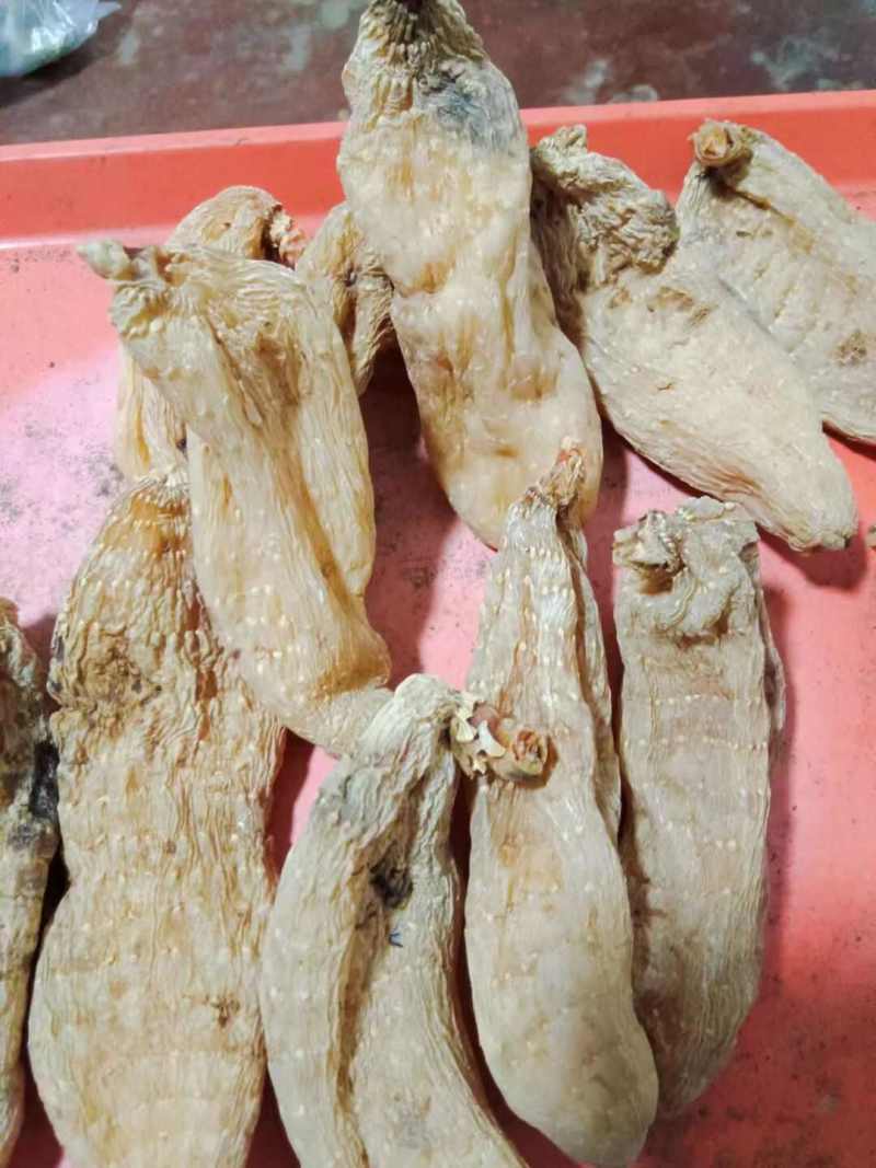 正品精选整个天麻新货500g优质新鲜生天麻切大片干货乌天