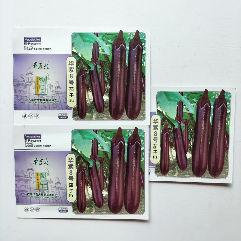 华紫8号茄子种子中熟烧烤茄种子圆底紫红长茄种子