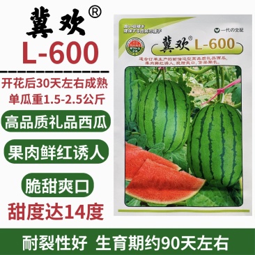 冀欢L600西瓜种子超甜礼品西瓜种子早熟杂交小型西瓜种籽
