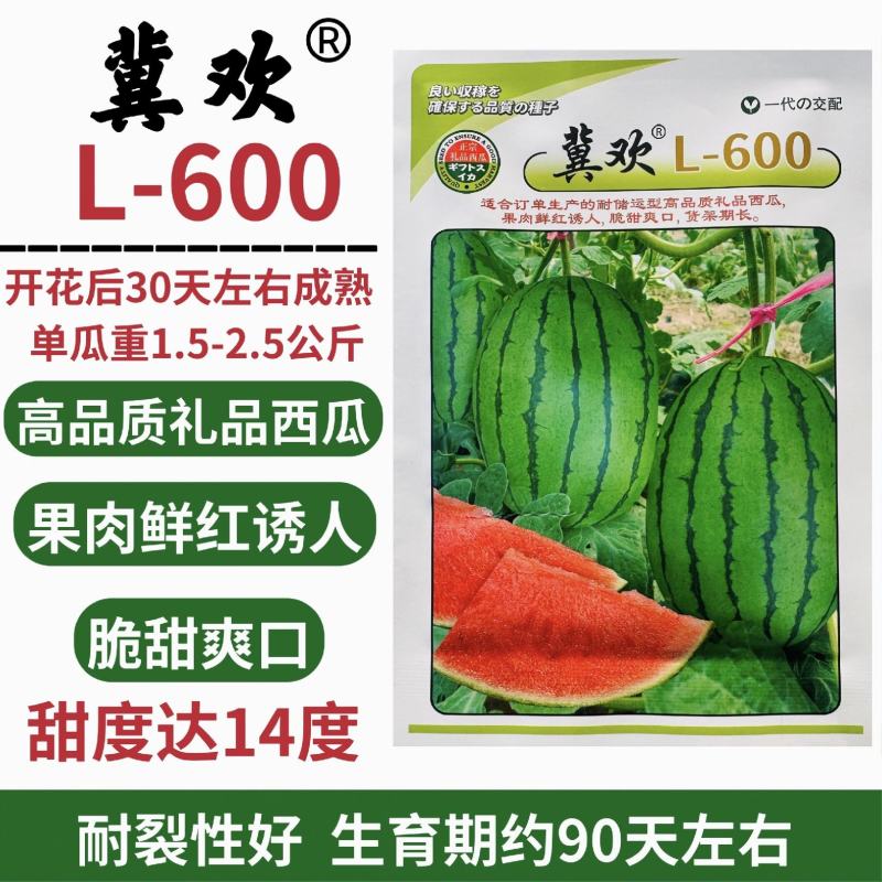 冀欢L600西瓜种子超甜礼品西瓜种子早熟杂交小型西瓜种籽