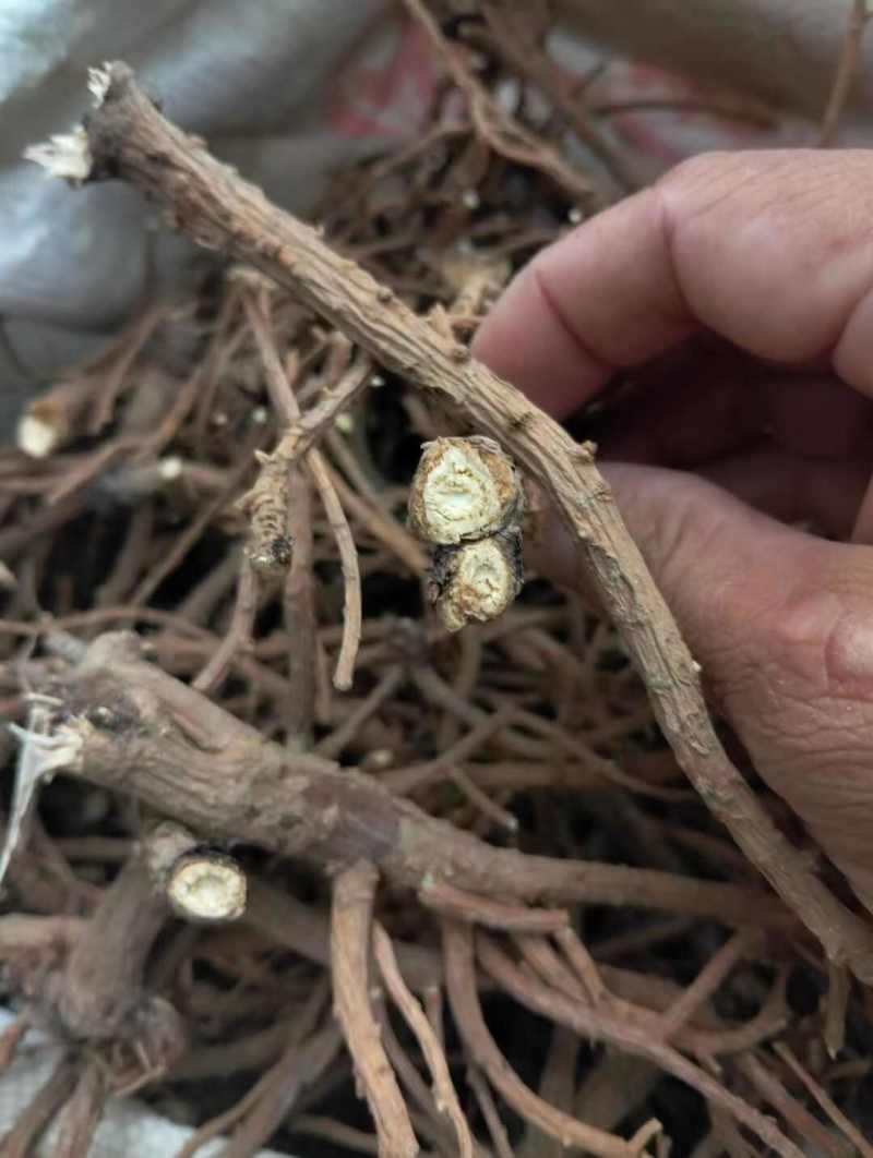 野生柴胡中药材正品野生无硫北柴胡湖北道地药材农户自采产地