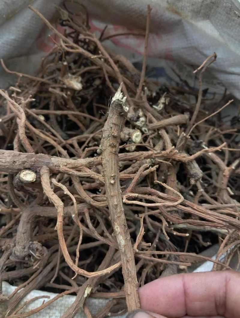 野生柴胡中药材正品野生无硫北柴胡湖北道地药材农户自采产地