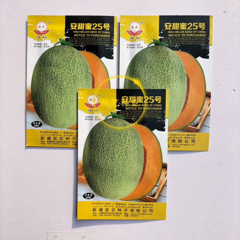 安甜蜜25号哈密瓜种子中熟高糖瓜网纹桔红肉种籽