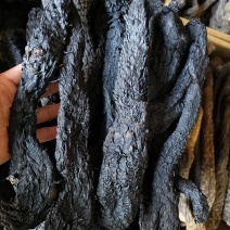 肉苁蓉软肉苁蓉整支批发零售规格齐全量大从优