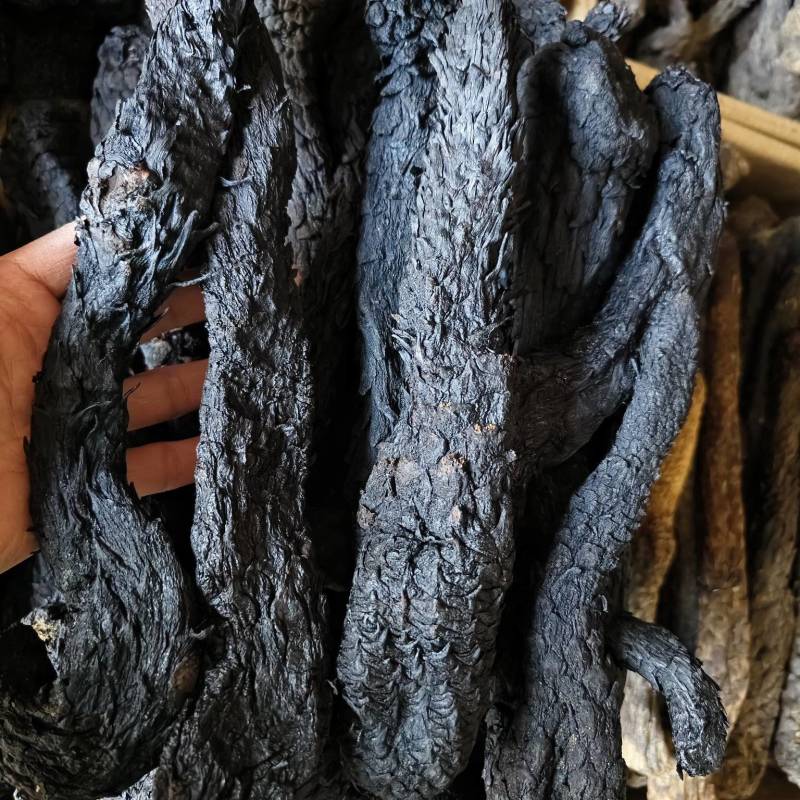 肉苁蓉软肉苁蓉整支批发零售规格齐全量大从优