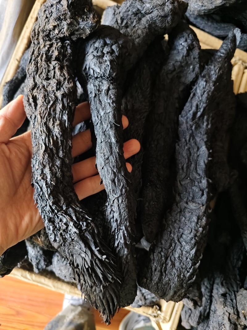 肉苁蓉软肉苁蓉整支批发零售规格齐全量大从优