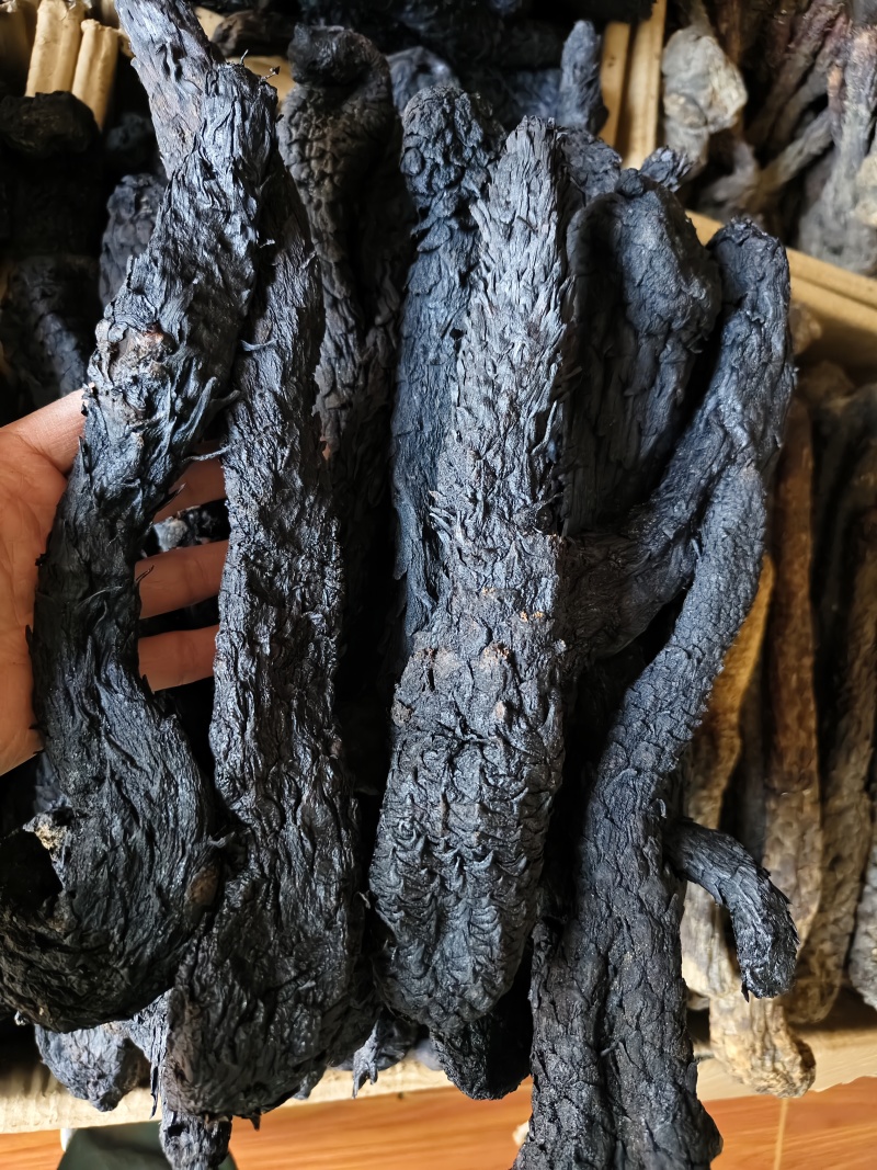 肉苁蓉软肉苁蓉整支批发零售规格齐全量大从优