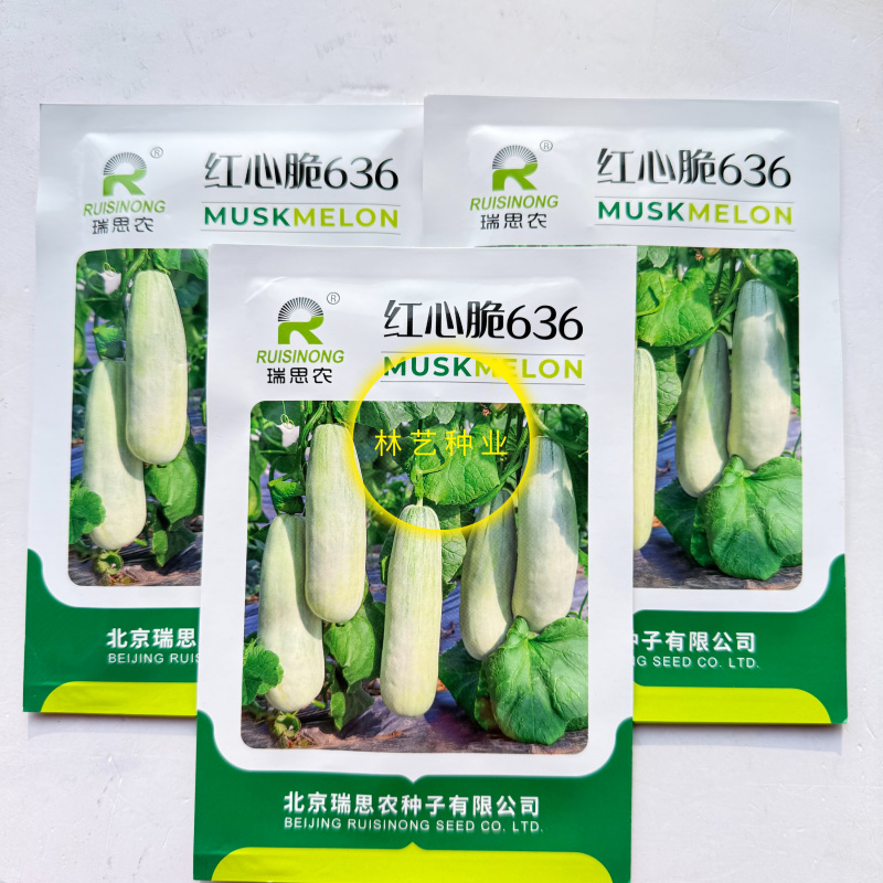 红心脆636中早熟薄皮甜瓜种子棒形灰白皮肉厚腔小酥脆绿肉