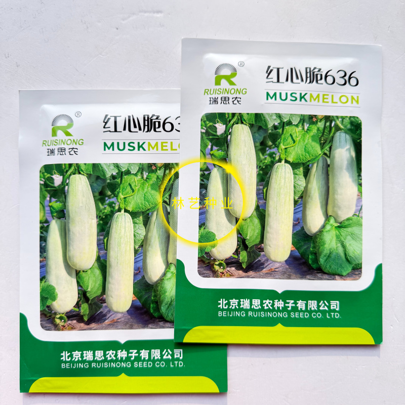 红心脆636中早熟薄皮甜瓜种子棒形灰白皮肉厚腔小酥脆绿肉