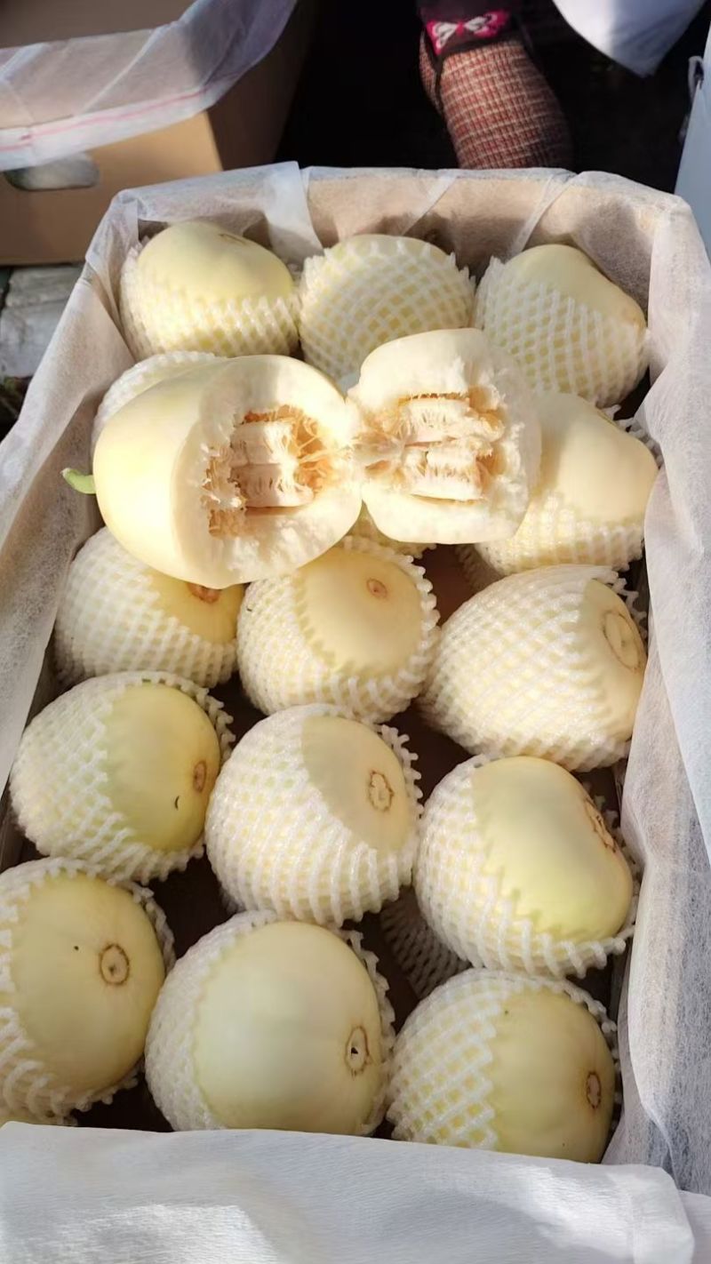 老二白糖罐香瓜口感香甜，