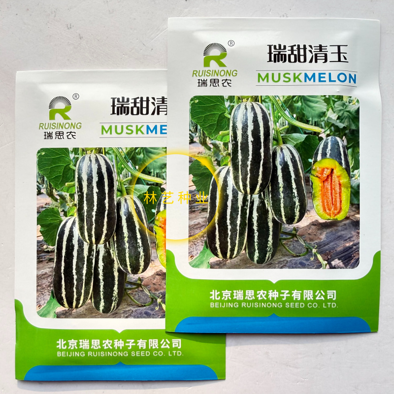瑞甜清玉甜瓜种子皮薄高糖绿肉桔红瓤薄皮甜瓜种耐低温弱光易