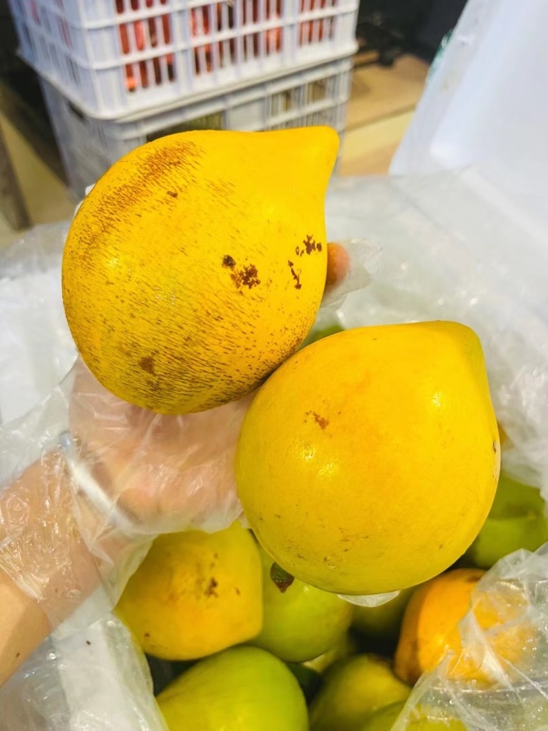 鸡蛋果，有老板需要的，可以联系我