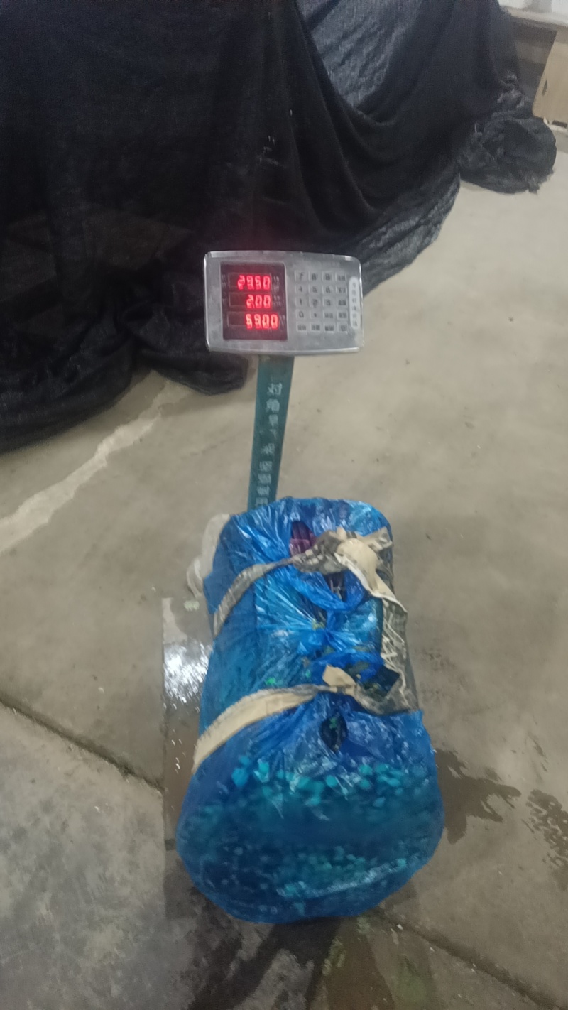 红菜苔产地直销