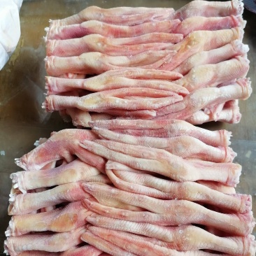 大鸭掌