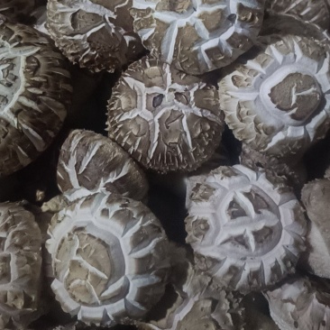 包度百分百的精品花菇