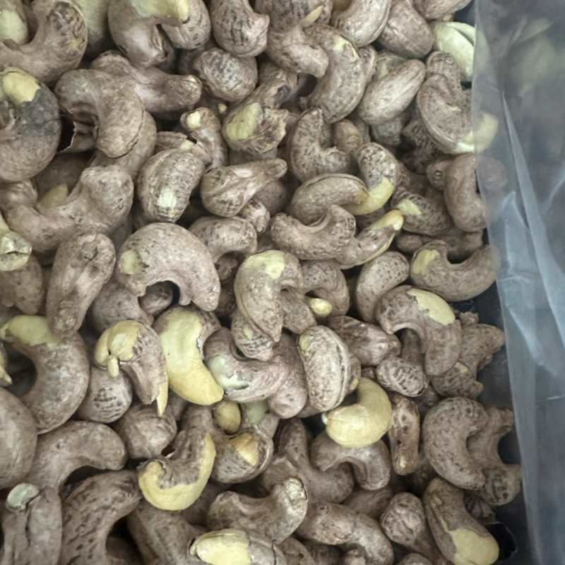 180大颗粒紫衣腰果现货供应