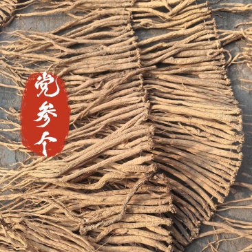党参个中药材党参个新货东弘药业一手货源现货供应