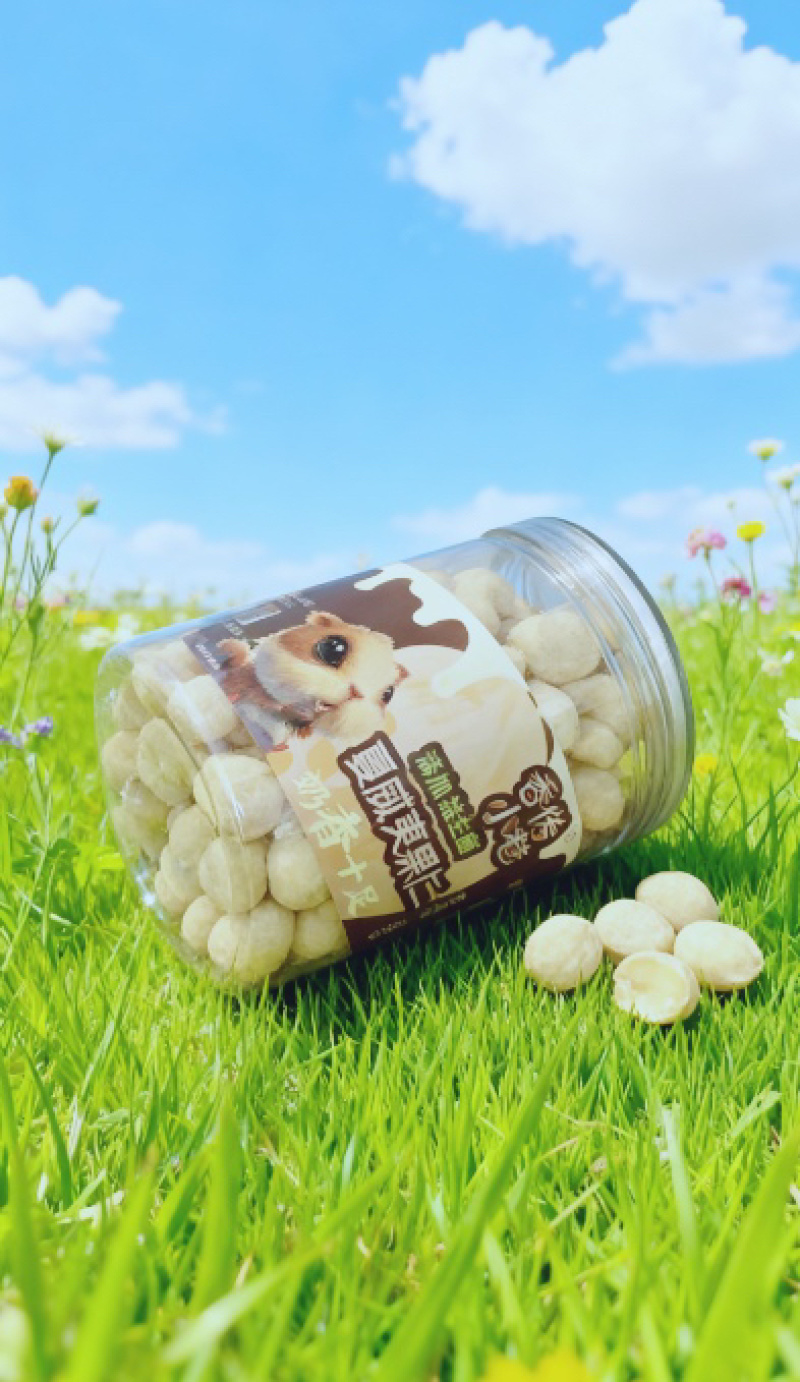 夏威夷果仁奶香味添加益生菌一件代发批发