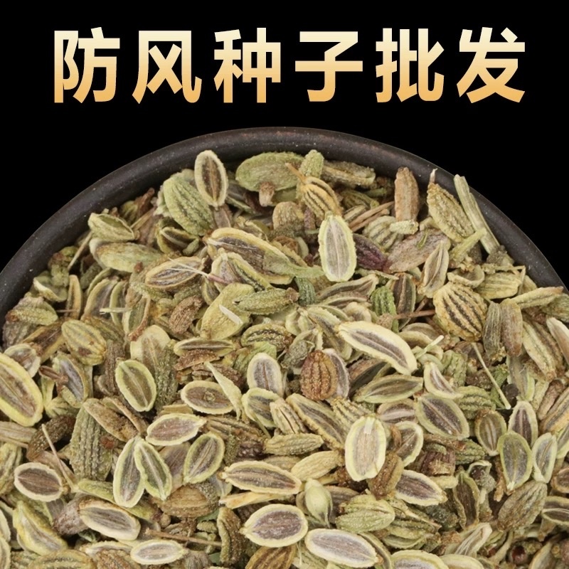 防风种子优质防风籽包发芽饱满度好免费技术指导