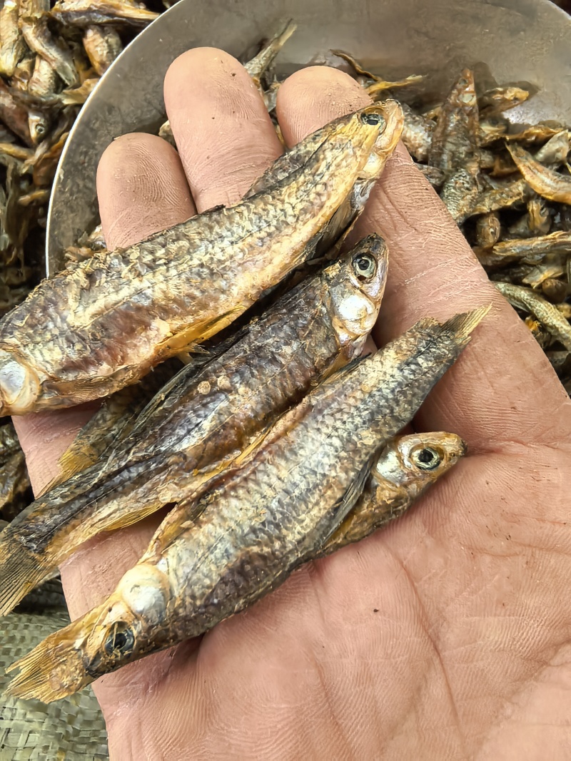 超低价格麦穗鱼淡水鱼干