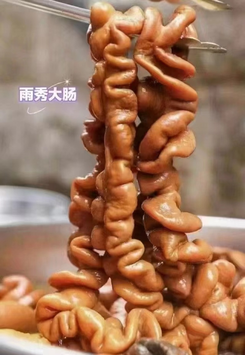 卤肥肠