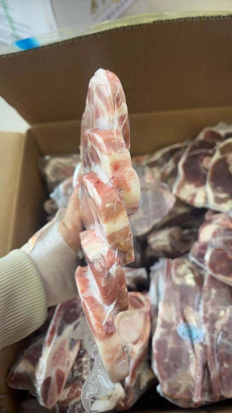 东乡贡羊羊前腿