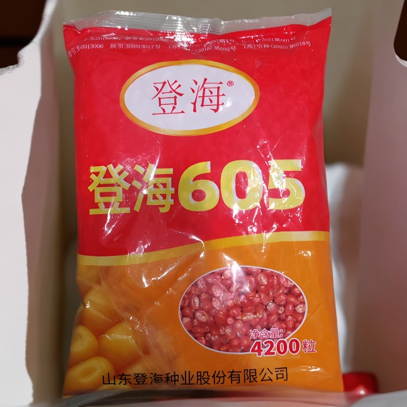 登海605玉米种子国审红轴大棒子轴细粒深抗病抗倒产量高