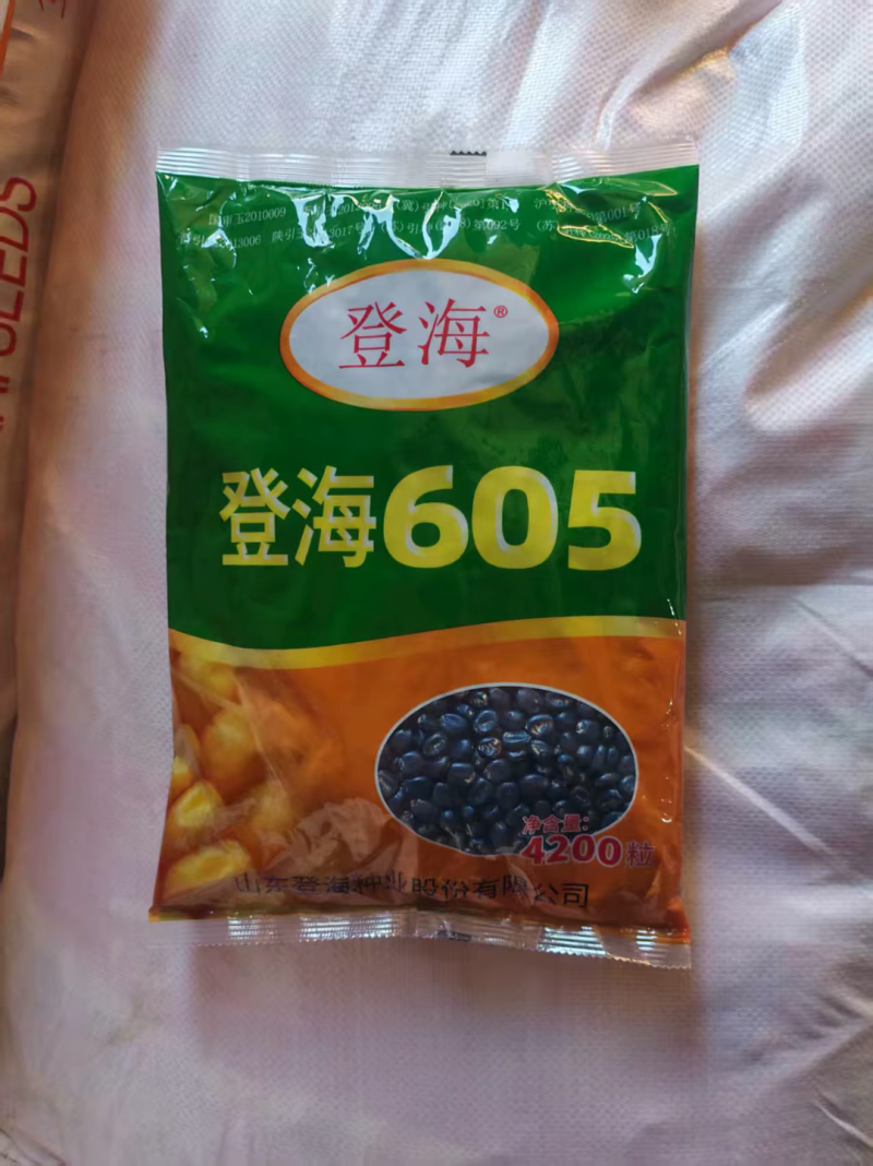 登海605玉米种子升级版国审红轴大棒子4200粒/袋