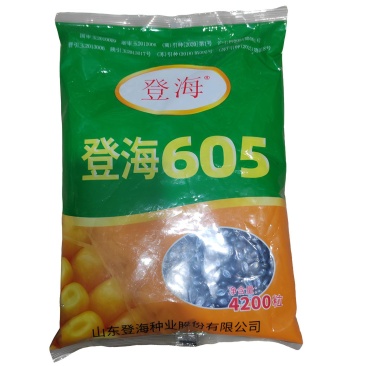 登海605玉米种子升级版国审红轴大棒子4200粒/袋