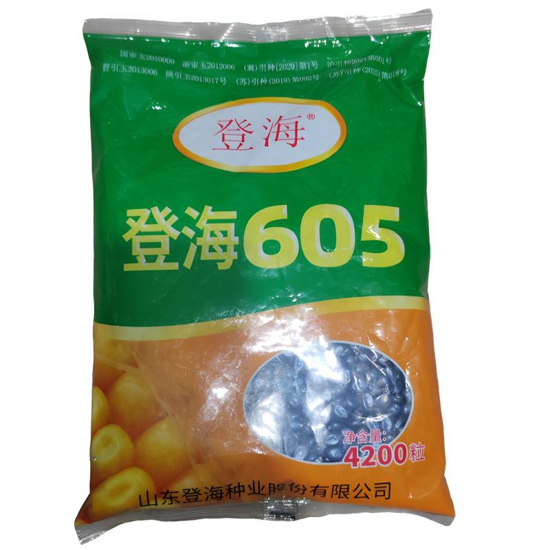 登海605玉米种子升级版国审红轴大棒子4200粒/袋