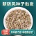 防风种子批发零售野生关防风籽发芽率高颗粒饱满技术指导