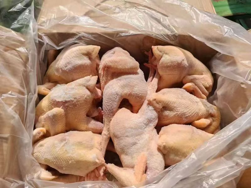 白条三黄鸡/厂家直发/量大从优/诚信经营/欢迎下单