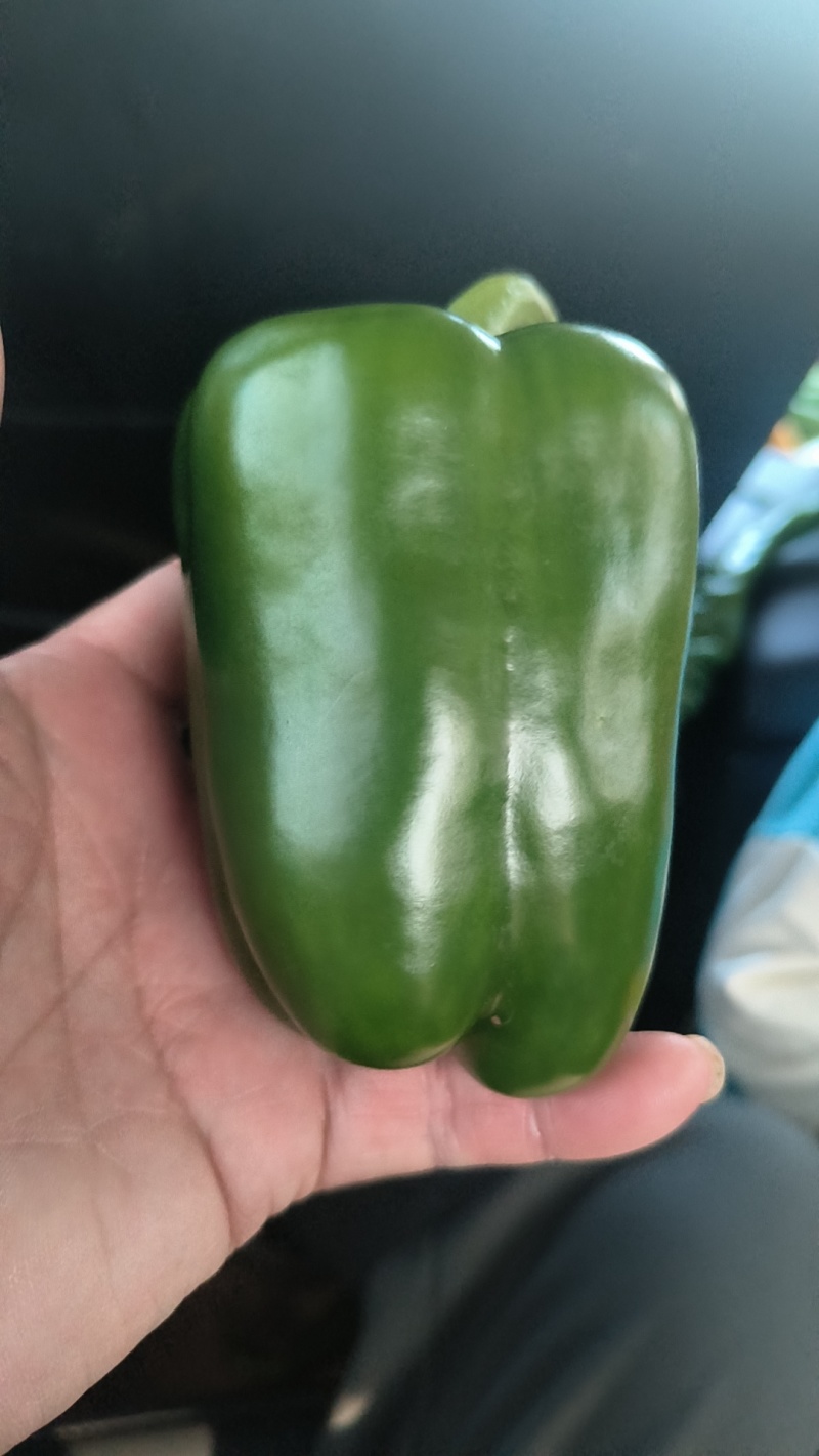 精品线椒，按需包装，代发全国各地，欢迎电联。