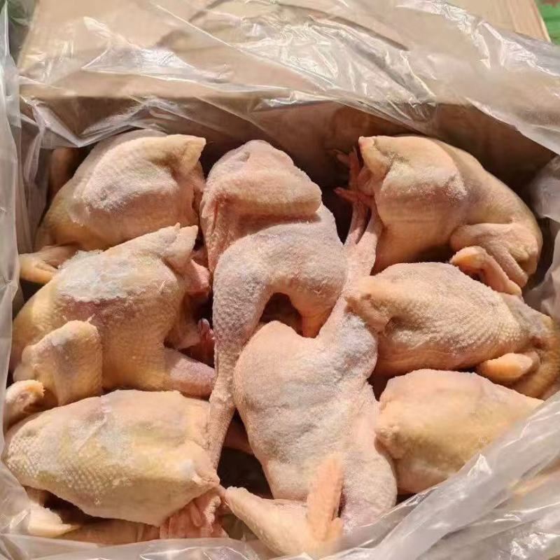 白条三黄鸡/厂家直发/量大从优/诚信经营/欢迎下单