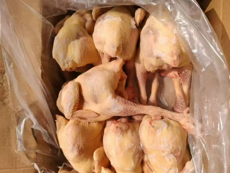 白条三黄鸡/厂家直发/量大从优/诚信经营/欢迎下单