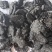 熟地黄中药材熟地黄新货东弘药业一手货源现货供应